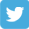 Twitter Logo